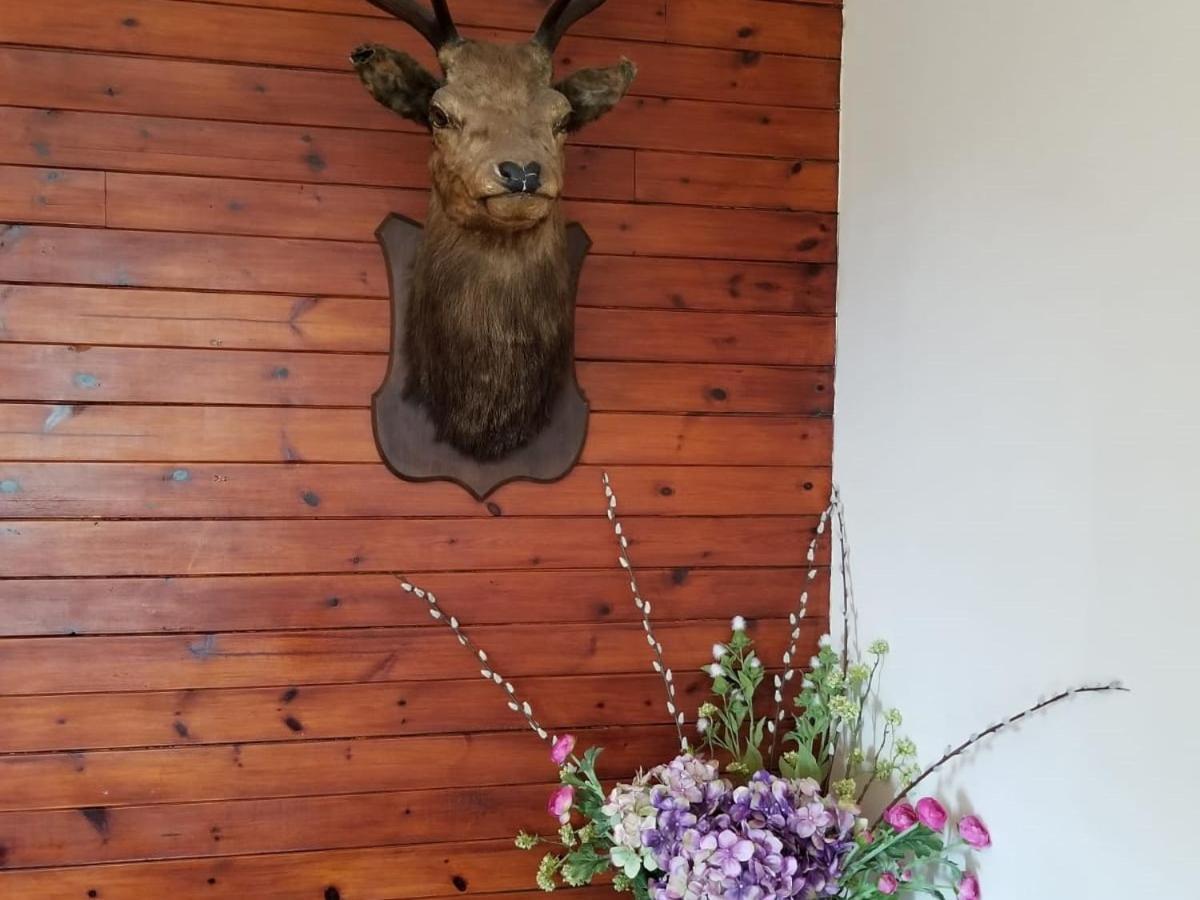 Glenan Lodge Self Catering Tomatin Eksteriør billede